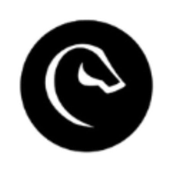 Meet your Posher, CHA Consignment! - Picture 1 of 1